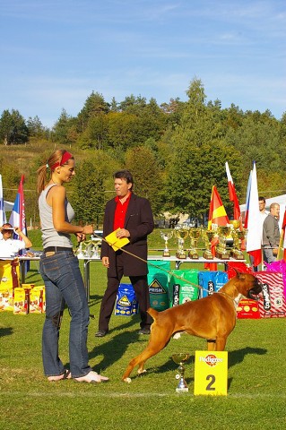 www.boxer-show.eu